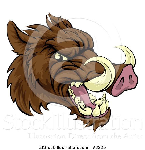 Vector Illustration of a Tough Brown Razorback Boar Mascot Head Facing Right