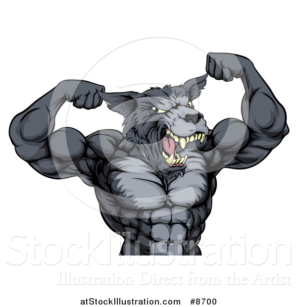 Vector Illustration of a Tough Muscular Gray Wolf Man Mascot Flexing His Muscles, from the Waist up