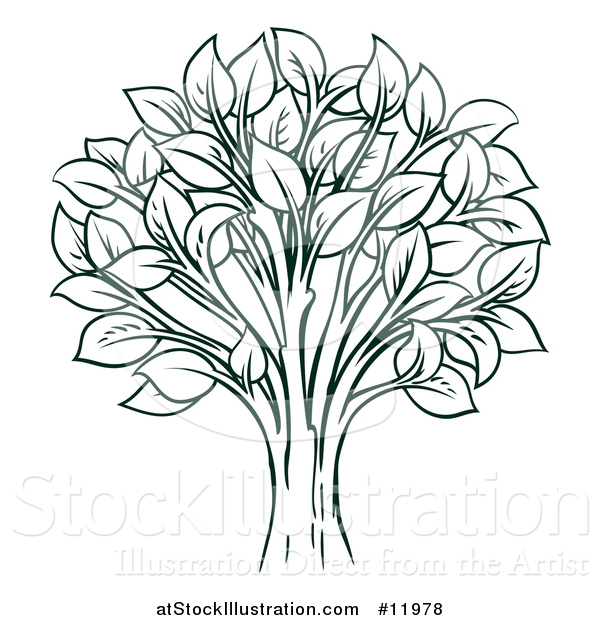 Vector Illustration of a Tree with Leaves