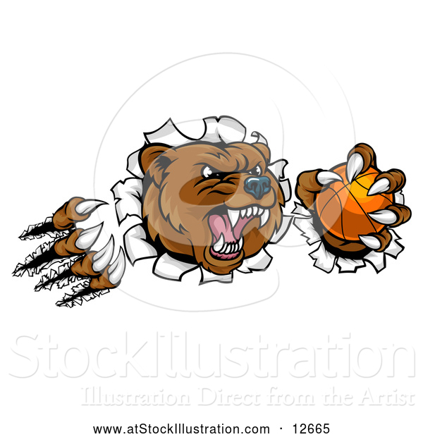 Vector Illustration of a Vicious Aggressive Bear Mascot Slashing Through a Wall with a Basketball in a Paw