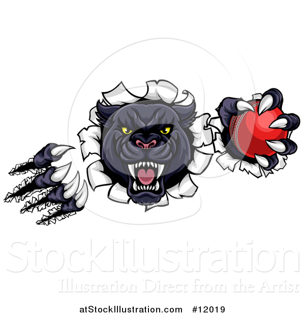 Vector Illustration of a Vicious Roaring Black Panther Mascot Shredding Through a Wall with a Cricket Ball
