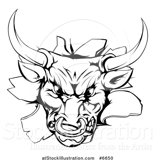 Vector Illustration of a Vicious Snarling Aggressive Black and White Bull Breaking Through a Wall
