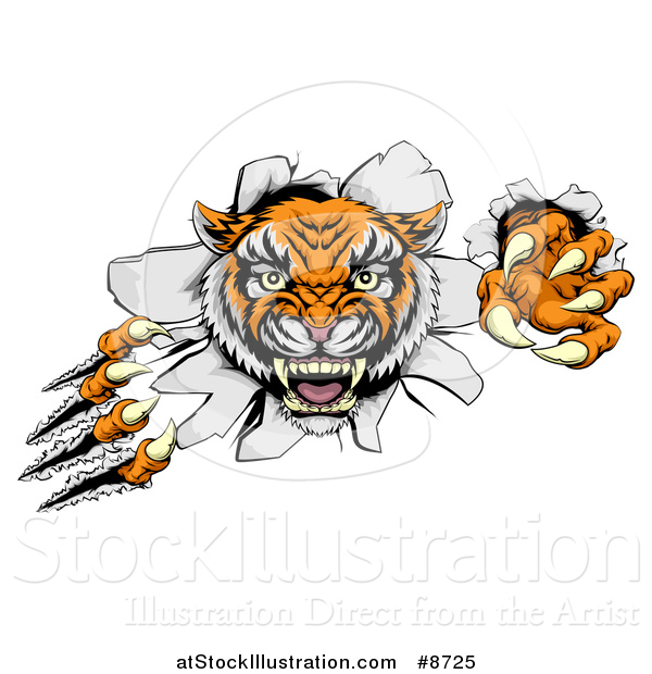 Vector Illustration of a Vicious Tiger Mascot Slashing Through a Wall