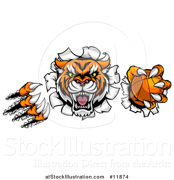 Vector Illustration of a Vicious Tiger Mascot Slashing Through a Wall with a Basketball