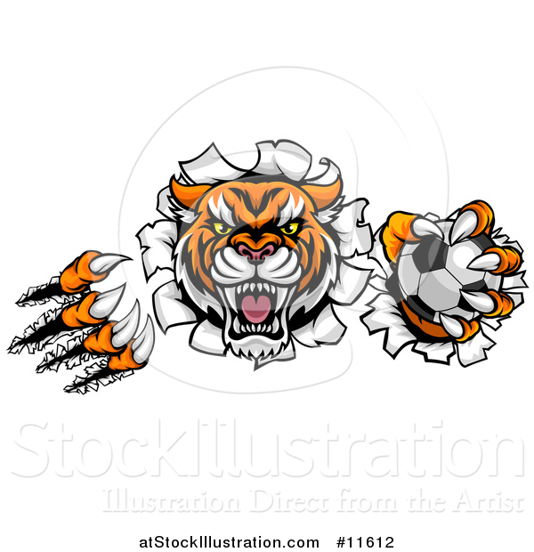 Vector Illustration of a Vicious Tiger Mascot Slashing Through a Wall with a Soccer Ball