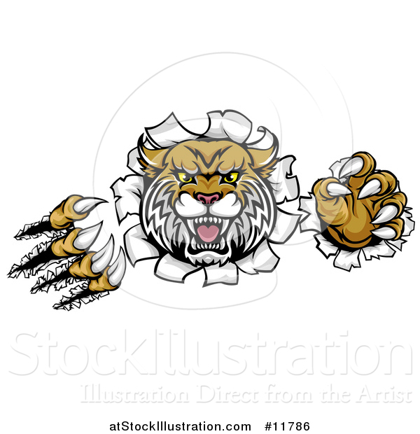 Vector Illustration of a Vicious Wildcat Mascot Shredding Through a Wall