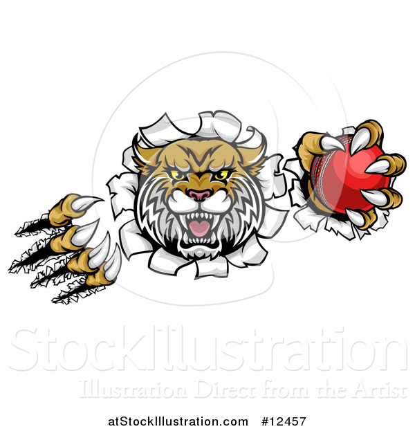 Vector Illustration of a Vicious Wildcat Mascot Shredding Through a Wall with a Cricket Ball