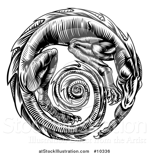 Vector Illustration of a Vintage Black and White Woodcut Dragon Forming a Circle