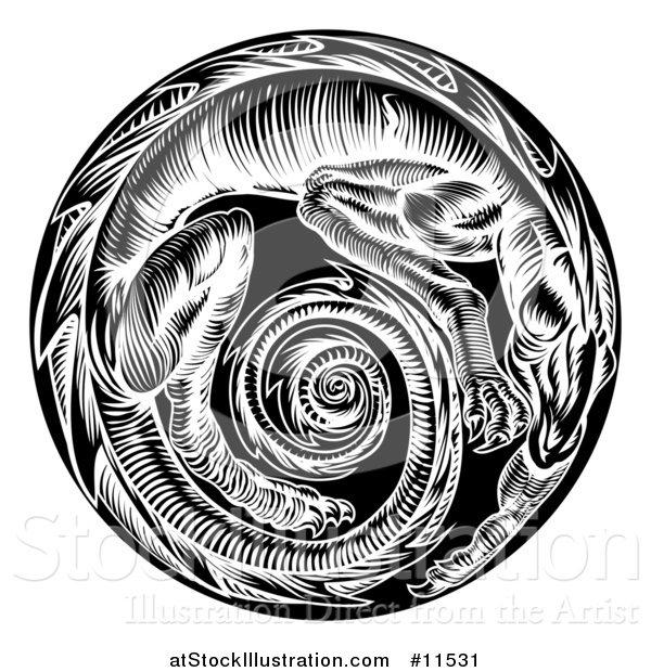 Vector Illustration of a Vintage Black and White Woodcut Dragon Forming a Spiral in a Circle