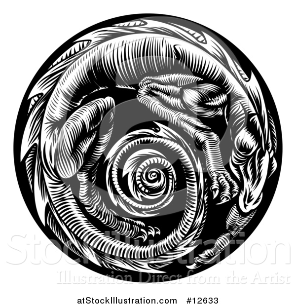 Vector Illustration of a Vintage Black and White Woodcut Dragon Forming a Spiral in a Circle