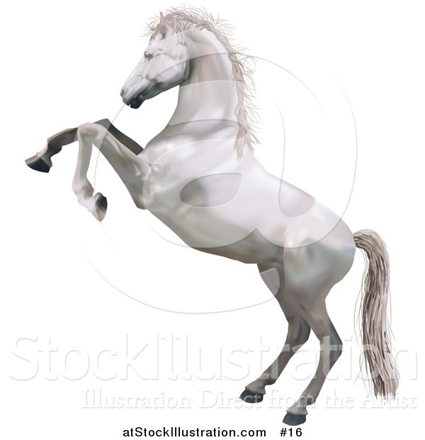 Vector Illustration of a White Horse Standing on Its Hind Legs While Rearing up in Defense