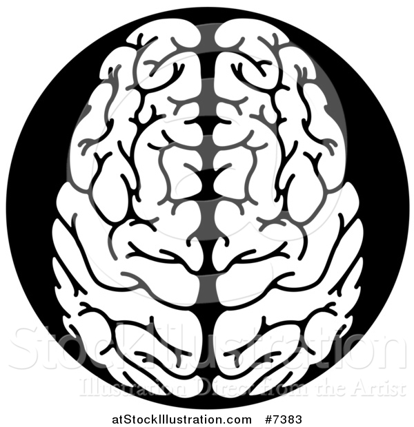 Vector Illustration of a White Human Brain in a Black Circle