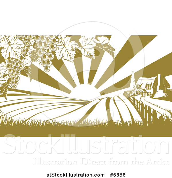 Vector Illustration of a Winery Farm House and Rolling Hills with Vineyard Grape Vines and Sun Rays in Green and White