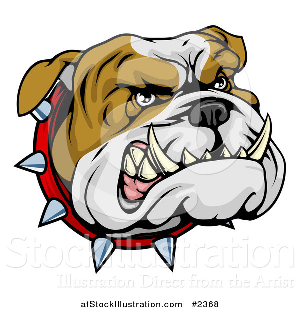 Vector Illustration of an Aggressive Bulldog Face with a Spiked Collar