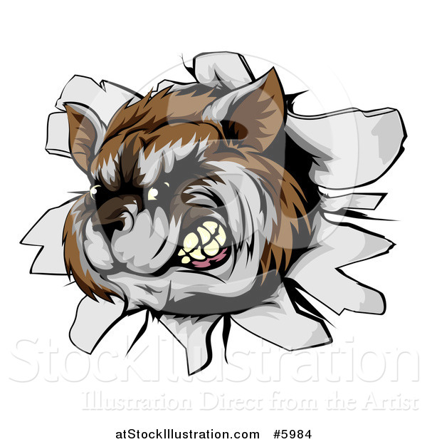 Vector Illustration of an Aggressive Raccoon Breaking Through a Wall