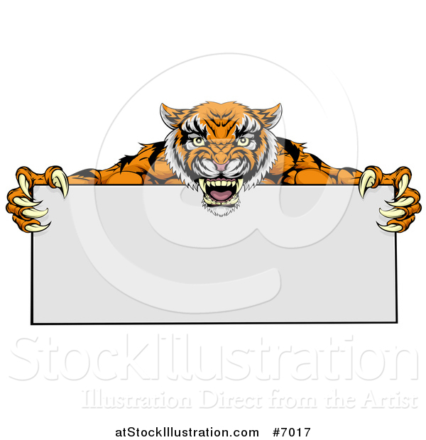Vector Illustration of an Aggressive Tiger Sports Mascot Holding a Blank Wide Sign
