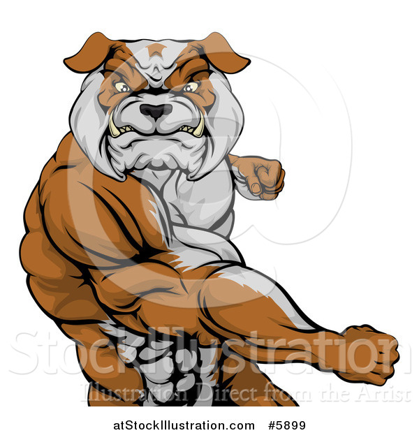 Vector Illustration of an Angry Muscular Bulldog Man Punching