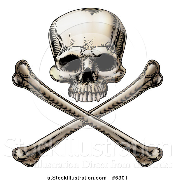 Vector Illustration of an Engraved Human Skull over Crossed Bones