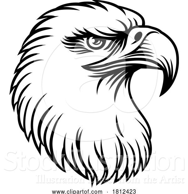 Vector Illustration of Bald Eagle Hawk Falcon Face Head Mascot Bird