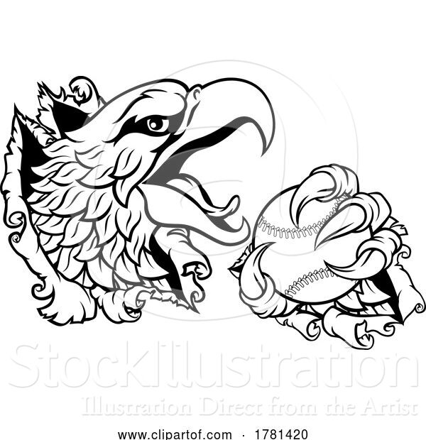 Vector Illustration of Bald Eagle Hawk Ripping Claw Baseball Ball Mascot