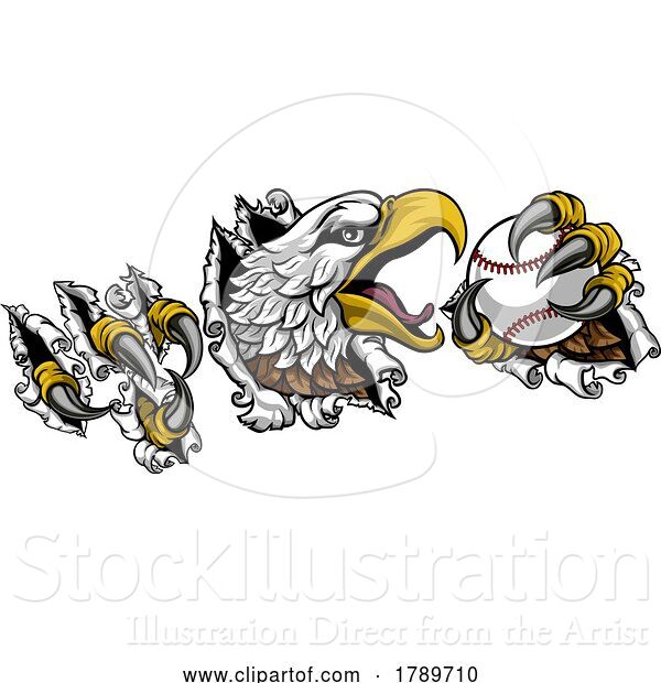 Vector Illustration of Bald Eagle Hawk Ripping Claw Baseball Ball Mascot