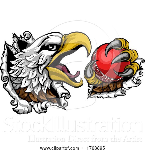 Vector Illustration of Bald Eagle Hawk Ripping Cricket Ball Mascot