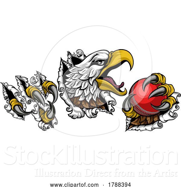 Vector Illustration of Bald Eagle Hawk Ripping Cricket Ball Mascot