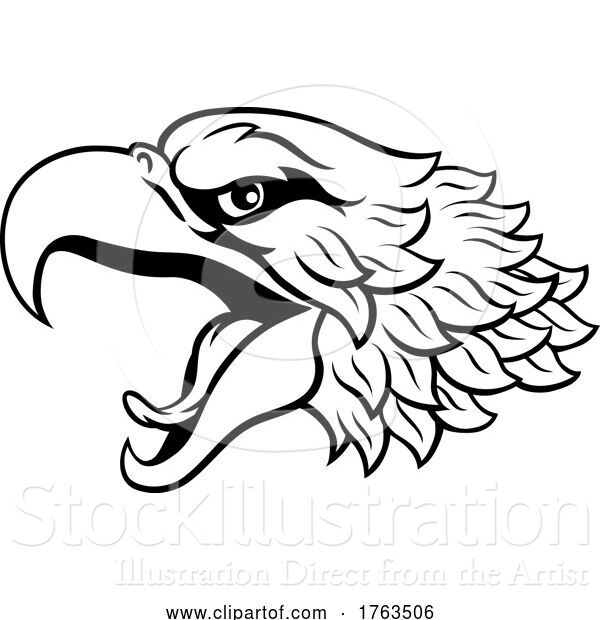 Vector Illustration of Bald Eagle or Hawk Mascot Head Face