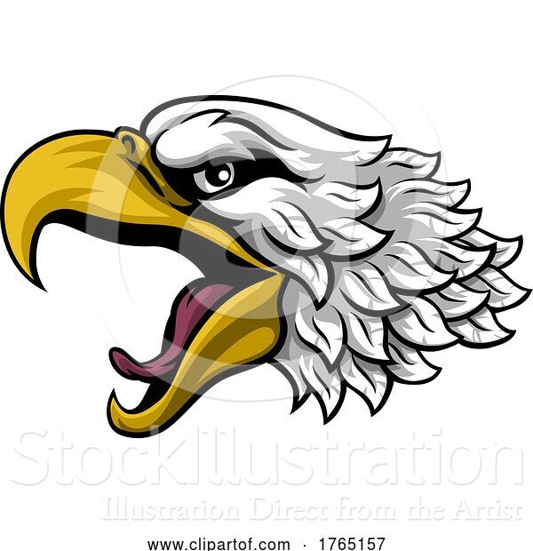 Vector Illustration of Bald Eagle or Hawk Mascot Head Face