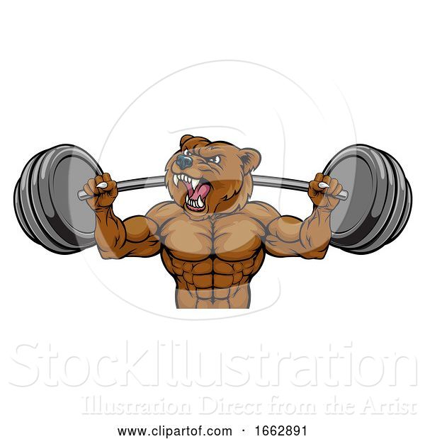 Vector Illustration of Bear Mascot Weight Lifting Barbell Body Builder