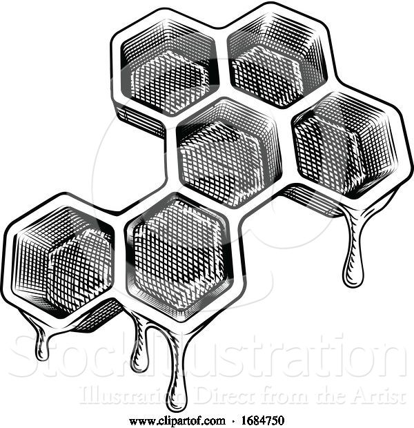 Vector Illustration of Bee Honeycomb Dripping with Honey Concept