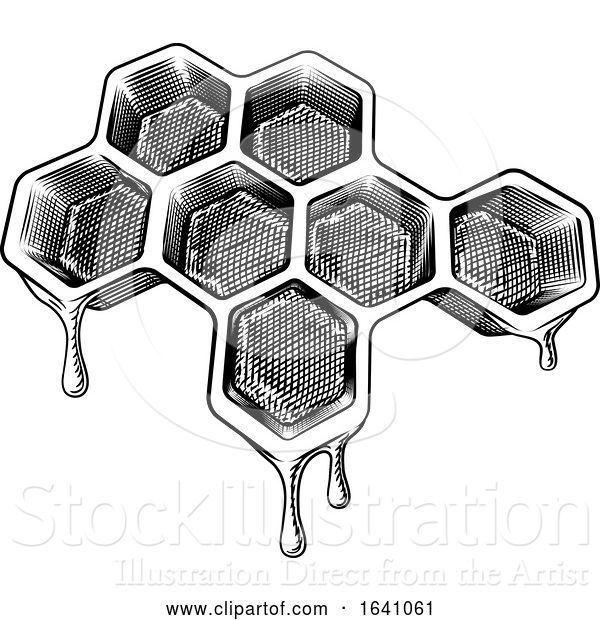 Vector Illustration of Bee Honeycomb Dripping with Honey Vintage Style