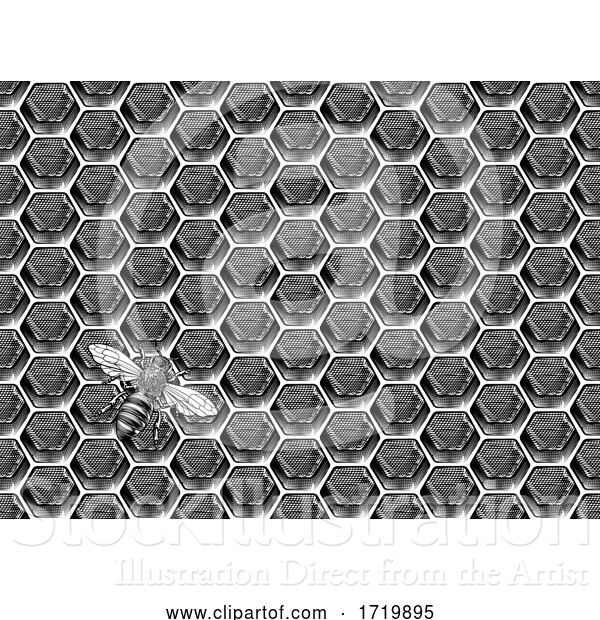 Vector Illustration of Bee Honeycomb Pattern Background Honey Drawing