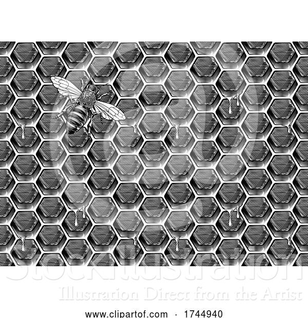 Vector Illustration of Bee Honeycomb Pattern Background Honey Drawing