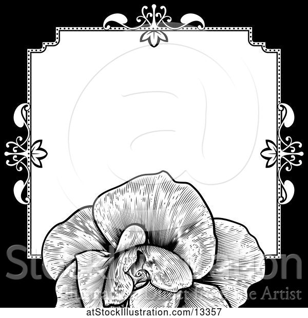 Vector Illustration of Black and White Border or Wedding Invitation with a Rose