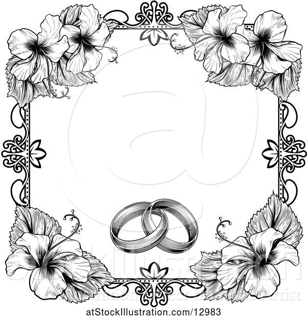 Vector Illustration of Black and White Border or Wedding Invitation with Rings and Hibiscus Flowers