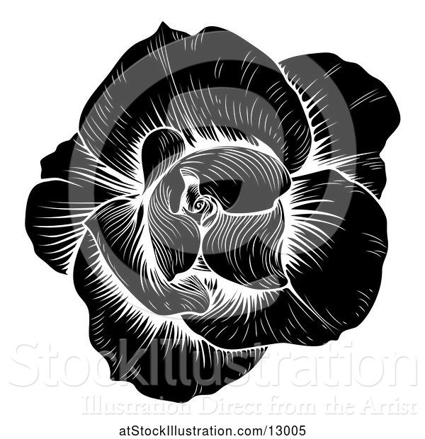 Vector Illustration of Black and White Engraved Rose Flower