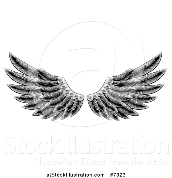 Vector Illustration of Black and White Engraved Woodcut Feathered Wings