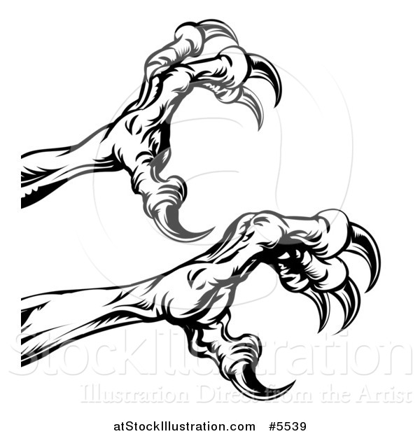 Vector Illustration of Black and White Reaching Eagle Talons