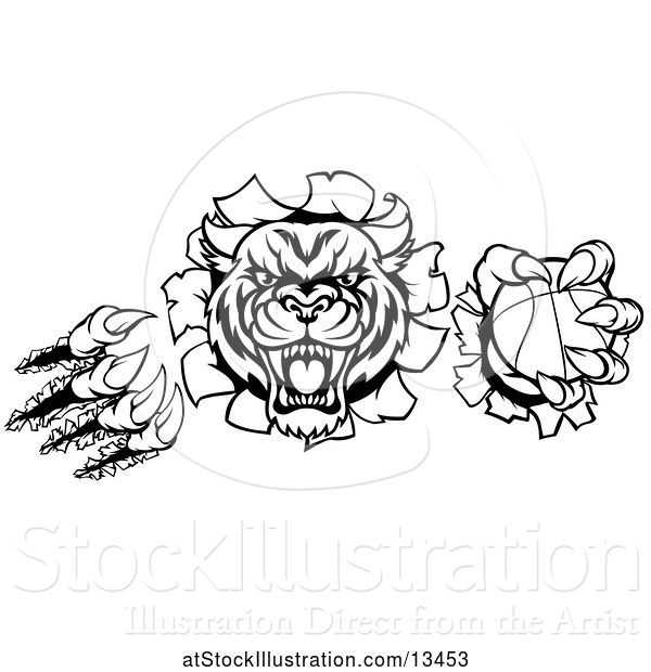 Vector Illustration of Black and White Vicious Tiger Mascot Slashing Through a Wall with a Basketball