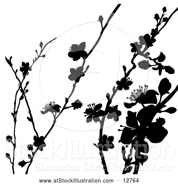 Vector Illustration of Black Silhouetted Blossom Branches