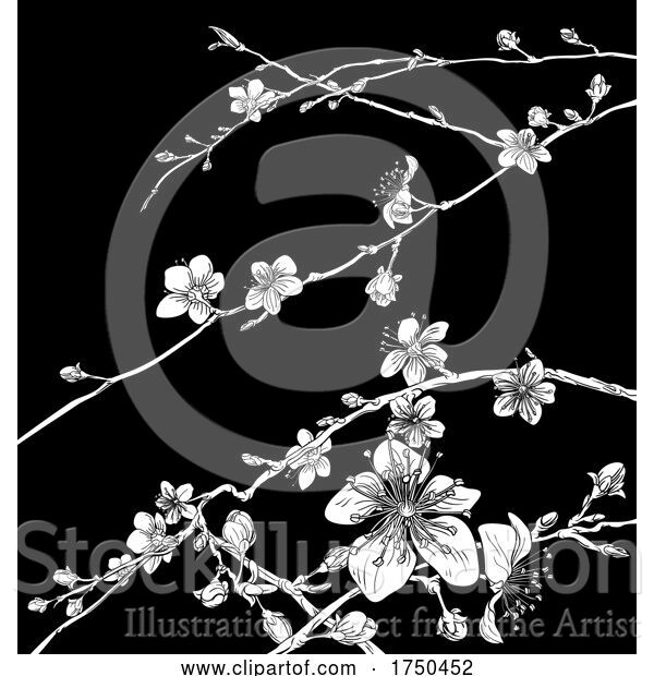Vector Illustration of Blossom Japanese Sakura Cherry Flower Print