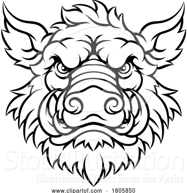 Vector Illustration of Boar Wild Hog Razorback Warthog Mascot Pig