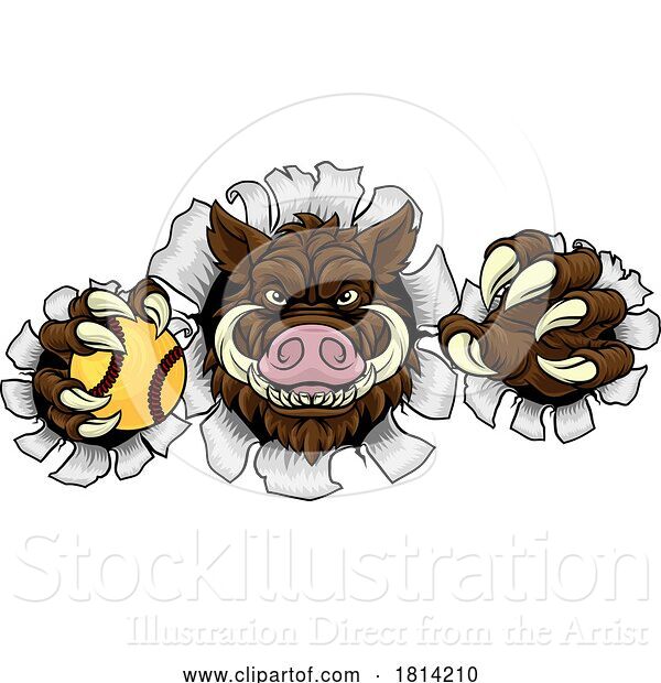 Vector Illustration of Boar Wild Hog Razorback Warthog Softball Mascot