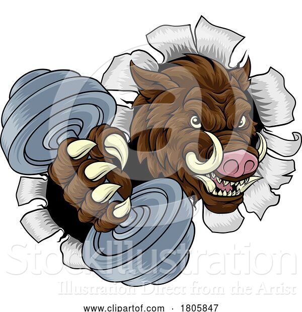 Vector Illustration of Boar Wild Razorback Warthog Weight Lifting Mascot