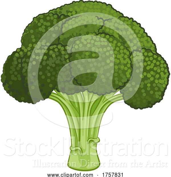 Vector Illustration of Broccoli Vegetable Food Drawing