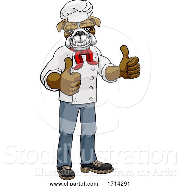 Vector Illustration of Bulldog Chef Mascot Thumbs up