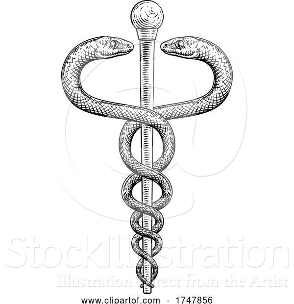Vector Illustration of Caduceus Vintage Doctor Medical Snakes Symbol