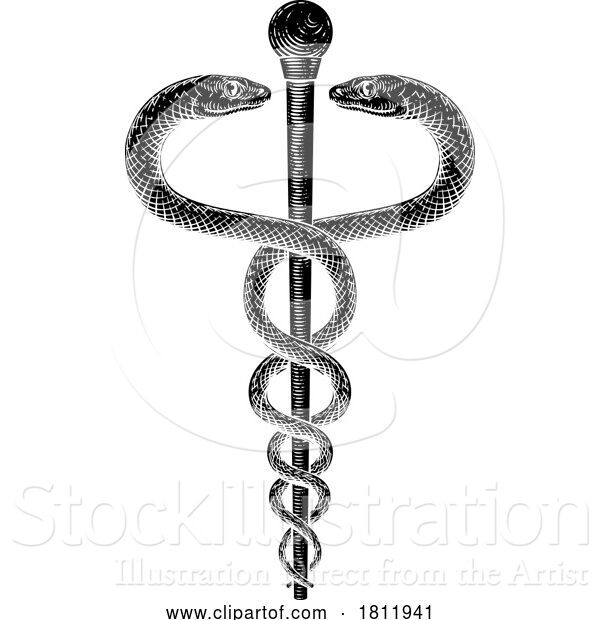 Vector Illustration of Caduceus Vintage Doctor Medical Snakes Symbol