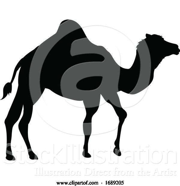 Vector Illustration of Camel Animal Silhouette